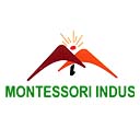 Montessori indus